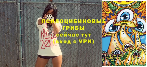меф Тавда