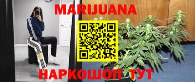 a pvp Бийск