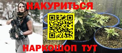a pvp Бийск