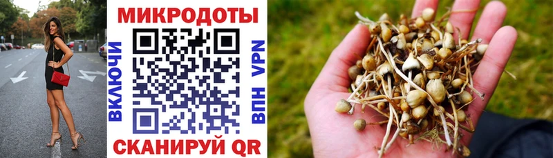 Псилоцибиновые грибы Magic Shrooms  Воткинск 