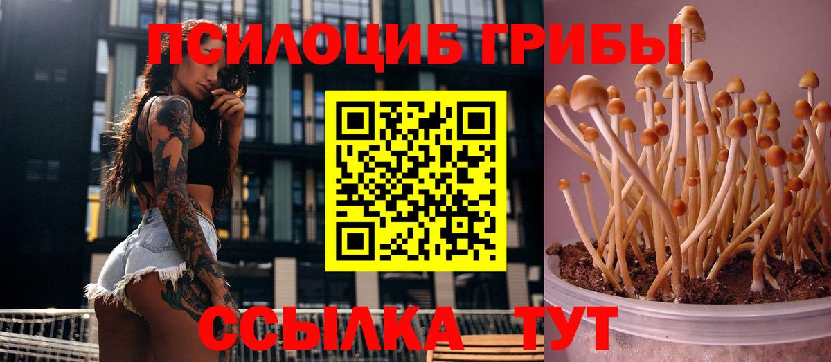 Воткинск  Псилоцибиновые грибы Cubensis  Вход с VPN  Галлюциногенные грибы мицелий 