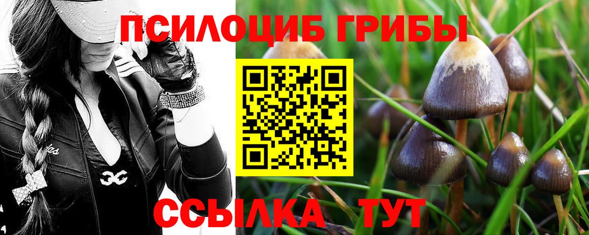 Галлюциногенные грибы мицелий Воткинск